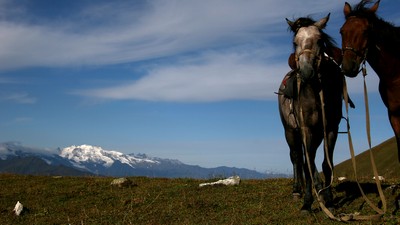 Vandretur Georgia